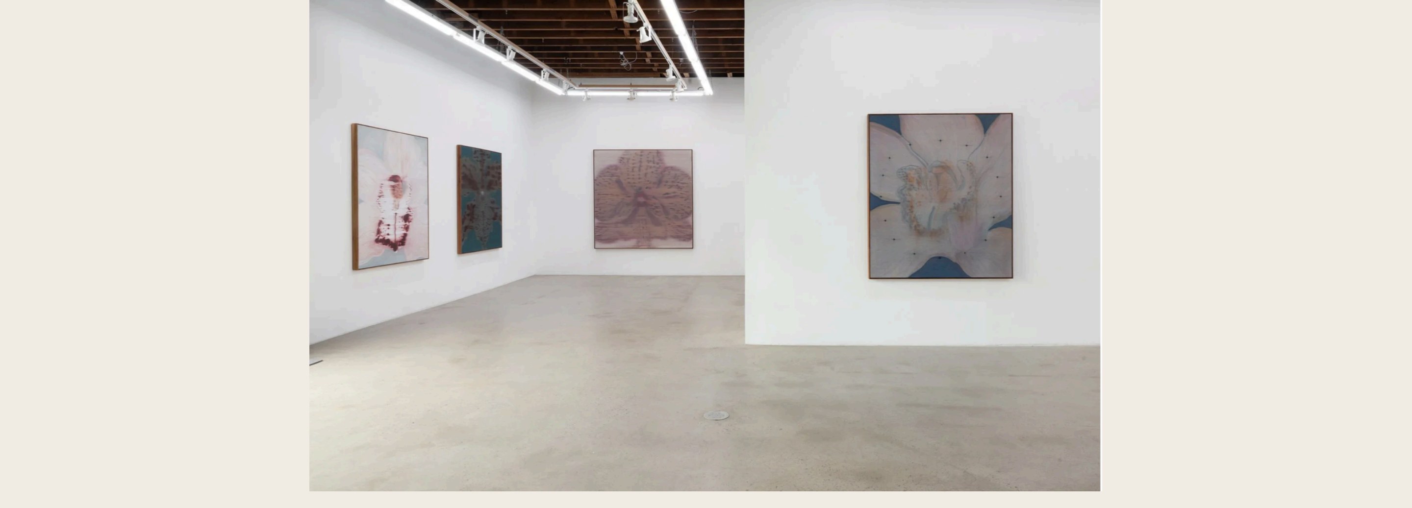 Mineral Meridian at Carvalho New York by Heath Wae